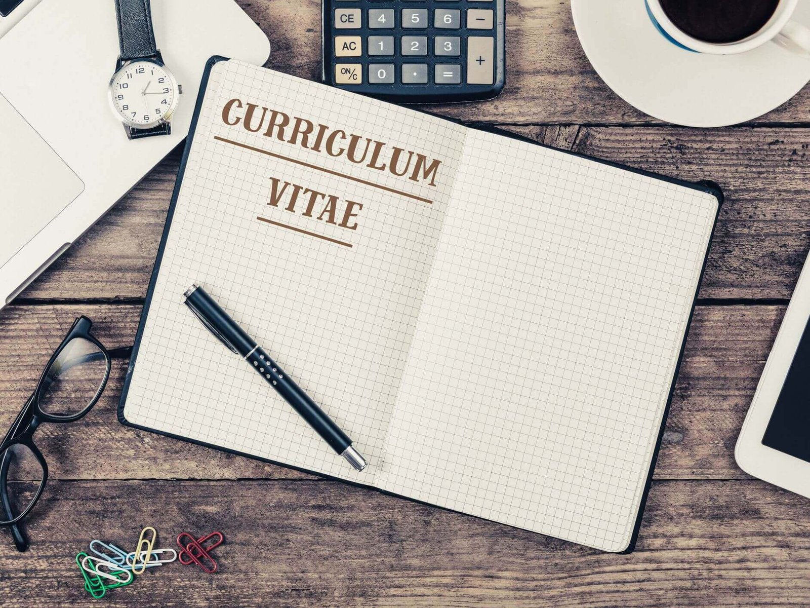 curriculum vitae(cv)