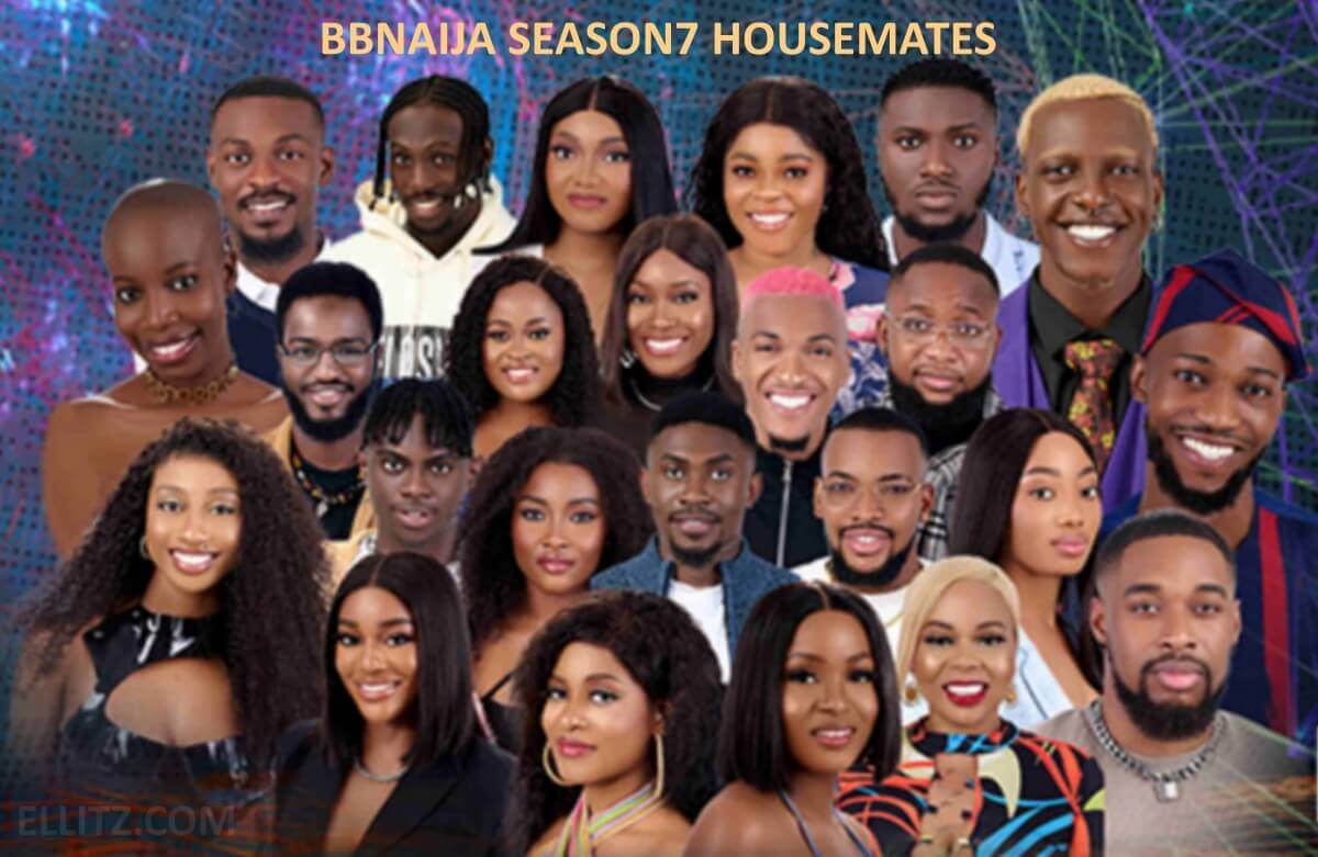 BBNAIJA HOUSEMATES SEASON 7