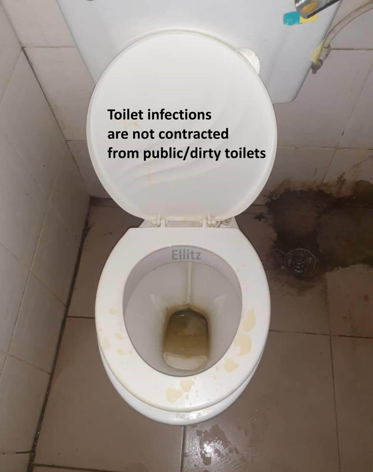 Toilet infections are not contracted from dirty toilet