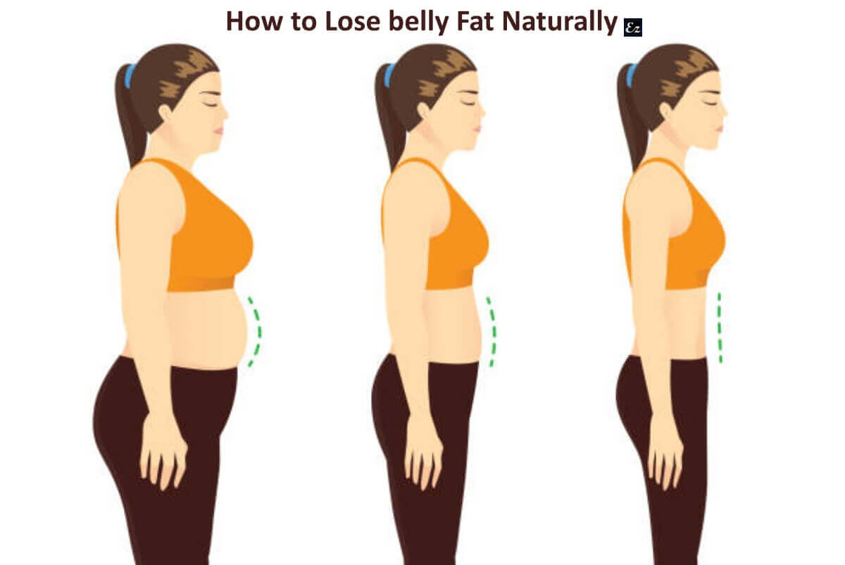 lose belly fat