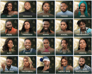 How to vote on the Big Brother Naija 2023 housemates