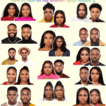 How to vote on Big Brother Naija Season 9