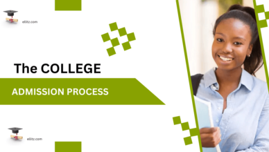 College Admissions Process