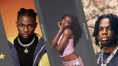 Afropop Rising Stars You Need to Know in 2025: The Future of Afrobeat Music